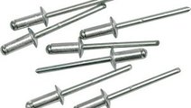 Nituri 4.8 x 19.0 mm AutoCars
