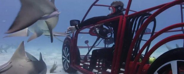 Noul Beetle ajunge pe fundul oceanului si se joaca cu rechinii