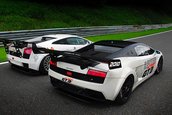 Noul Lamborghini Gallardo de curse: Reiter LP560 GT3