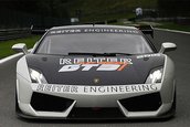 Noul Lamborghini Gallardo de curse: Reiter LP560 GT3