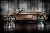 Noul R8 Spyder se prezinta inainte de Frankfurt!