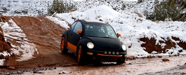 Nu-ti trebuie neaparat un off-roader sa te distrezi pe teren accidentat. Merge si cu un Beetle