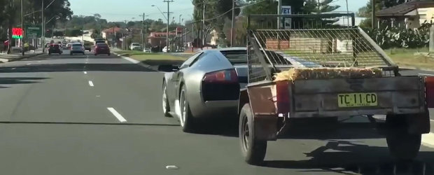 O fi inscris ca utilitara? Un Lamborghini trage o remorca plina cu capre si baloti de fan