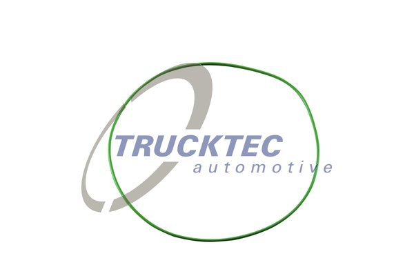 O-ring, camasa cilindru (0167168 TRUCKTEC)