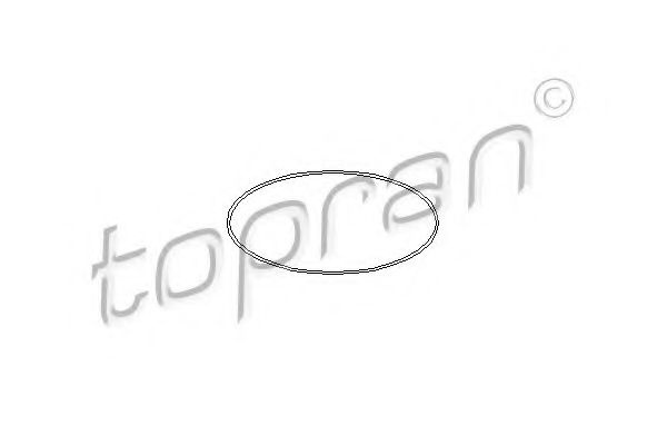 O-ring, camasa cilindru CITROEN NEMO combi (2009 - 2016) TOPRAN 722 202 piesa NOUA