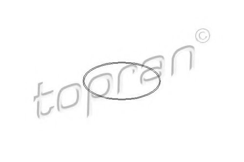 O-ring, camasa cilindru CITROEN NEMO combi (2009 - 2016) TOPRAN 722 202 piesa NOUA