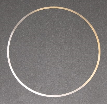 O-ring, Camasa Cilindru Elring Man 703.079