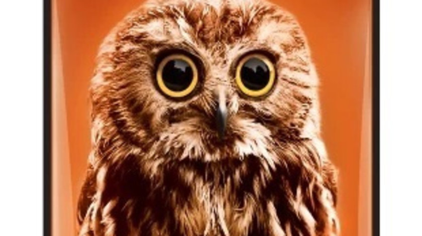 Odorizant Areon Dry Wild Owl