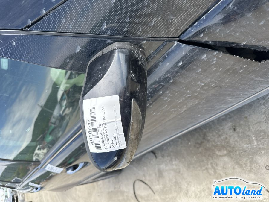 Oglinda Dreapta Electrica, Semnalizare Sparta Mercedes-Benz B-CLASS W245 2005