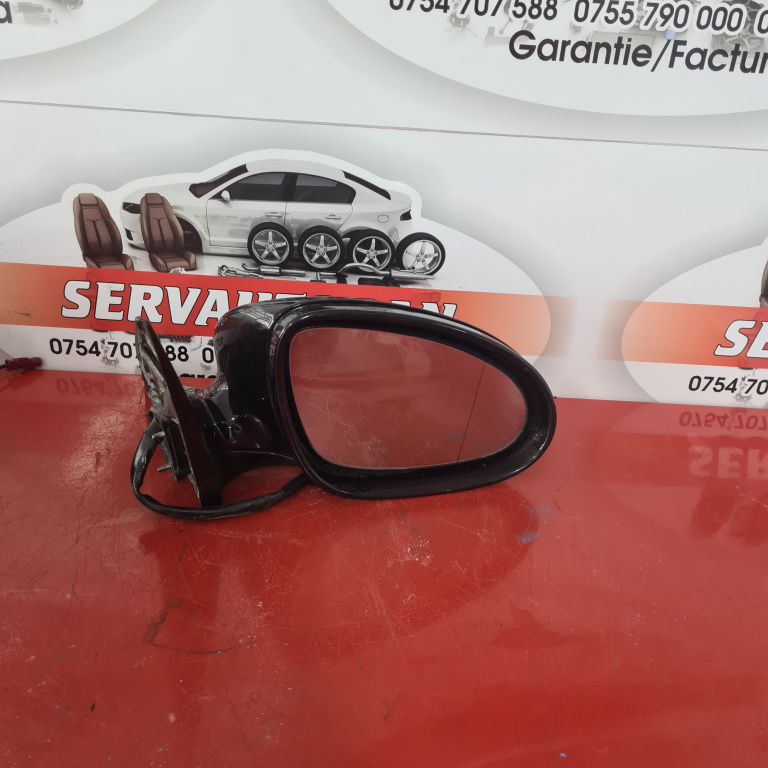 Oglinda dreapta Mercedes-Benz S-Class (2005-2009) [W221] 3.0 Motorina 2008
