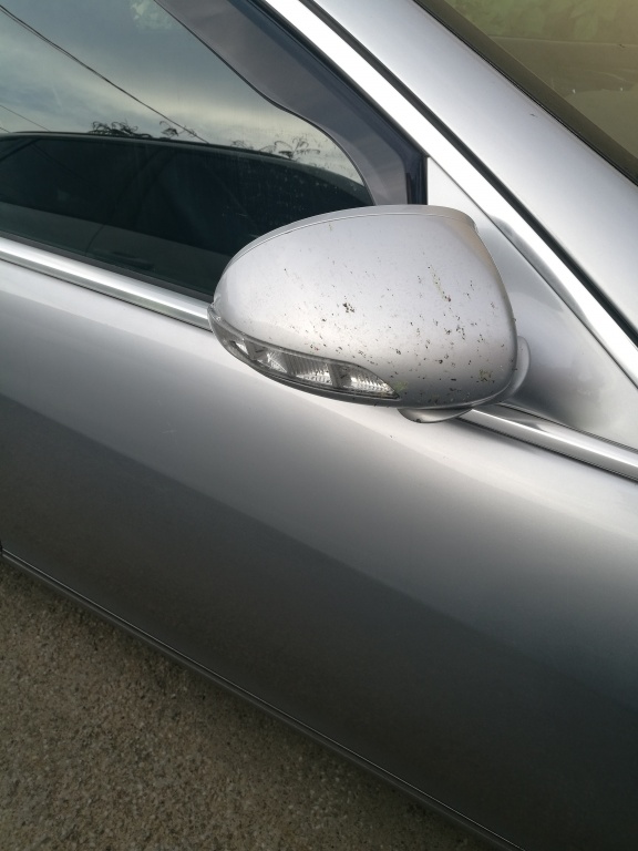 Oglinda dreapta Mercedes S320 cdi w221