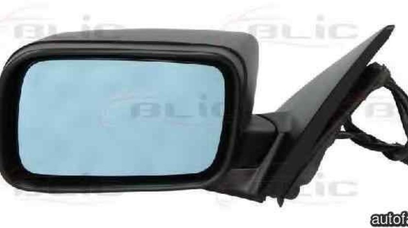 Oglinda exterioara BMW 3 (E46) BLIC 5402-04-1125829