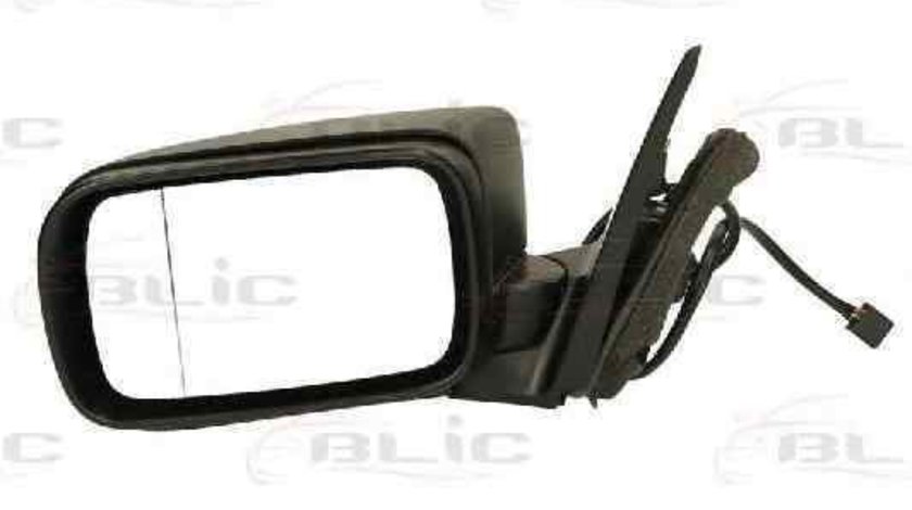 Oglinda exterioara BMW 3 (E46) BLIC 5402-04-1171829