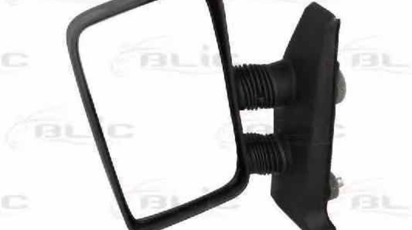 Oglinda exterioara FIAT DUCATO caroserie (290) BLIC 5402-04-1191983