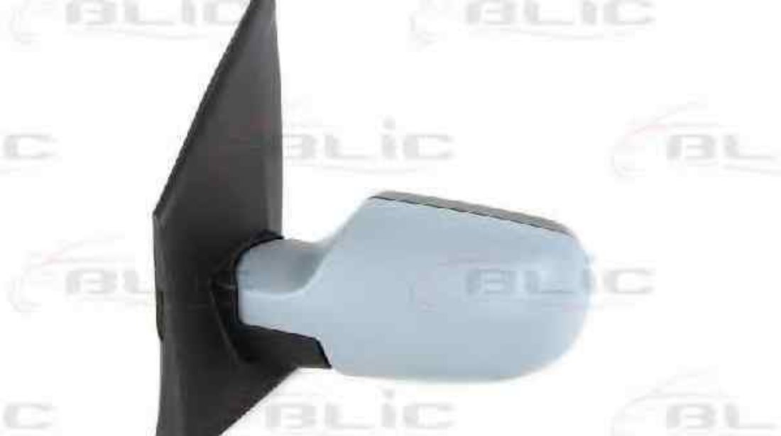 Oglinda exterioara FORD FIESTA V (JH_, JD_) BLIC 5402-04-1139387