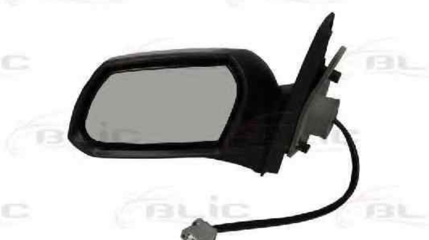 Oglinda exterioara FORD MONDEO III (B5Y) BLIC 5402-04-1125377