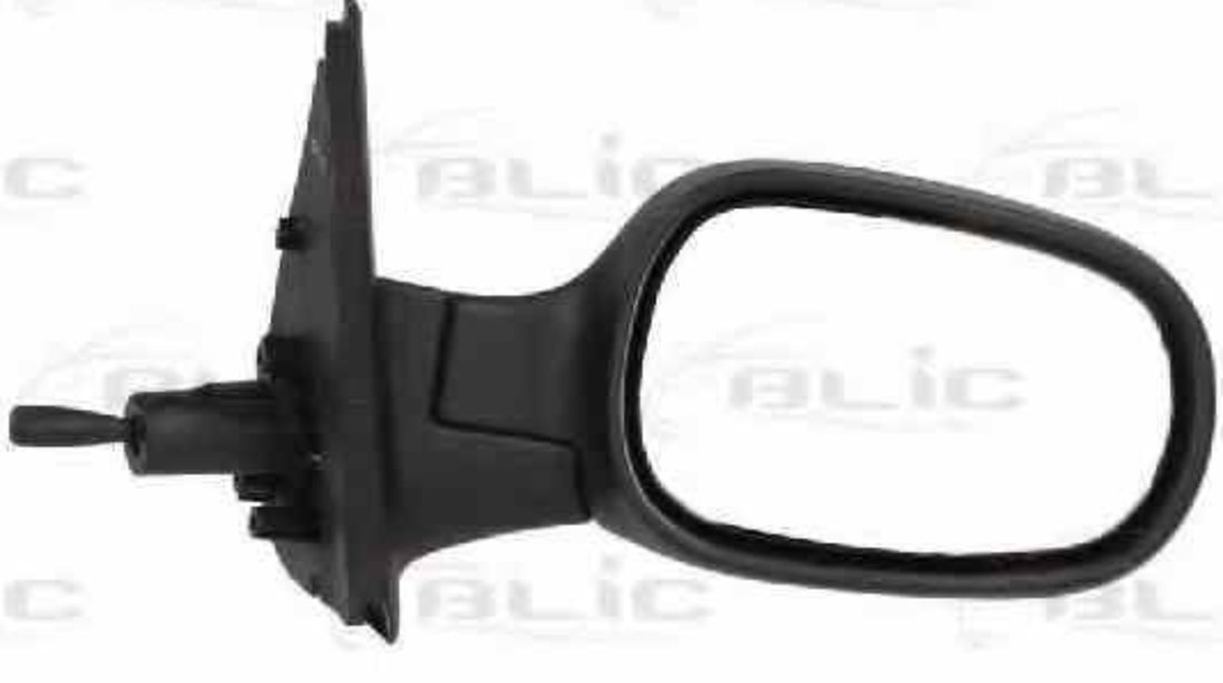 Oglinda exterioara NISSAN MICRA III K12 BLIC 5402-04-1115528P