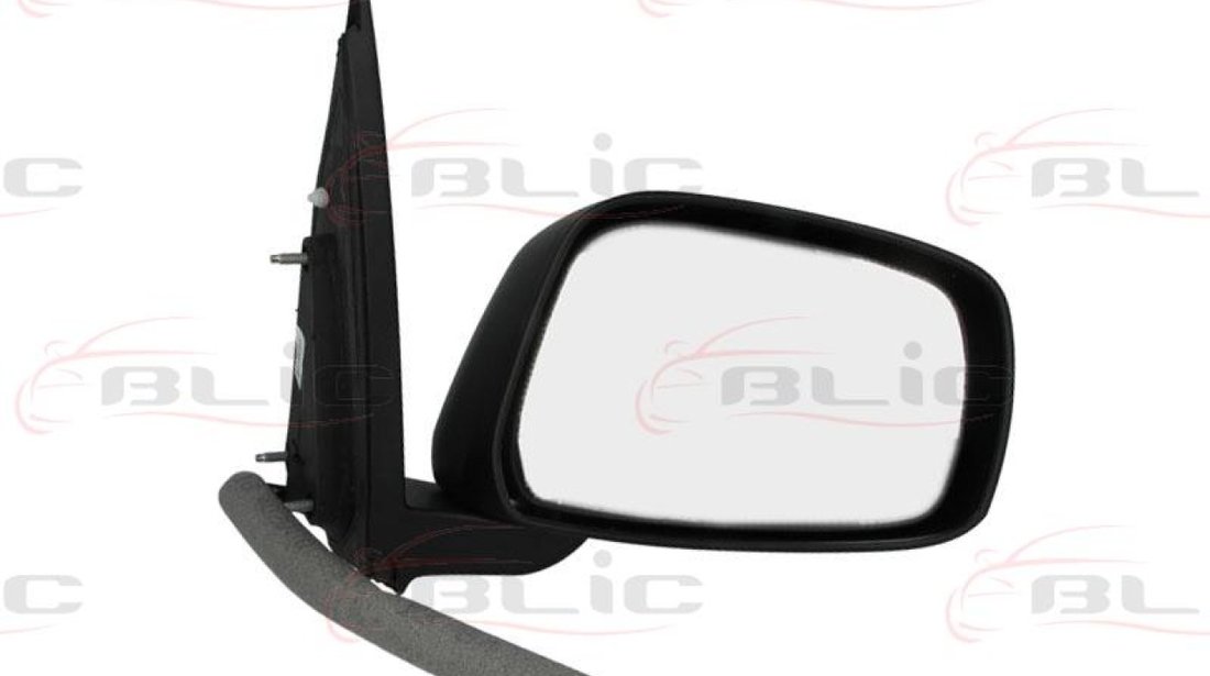 Oglinda exterioara NISSAN NAVARA D40 Producator BLIC 5402-04-1192558