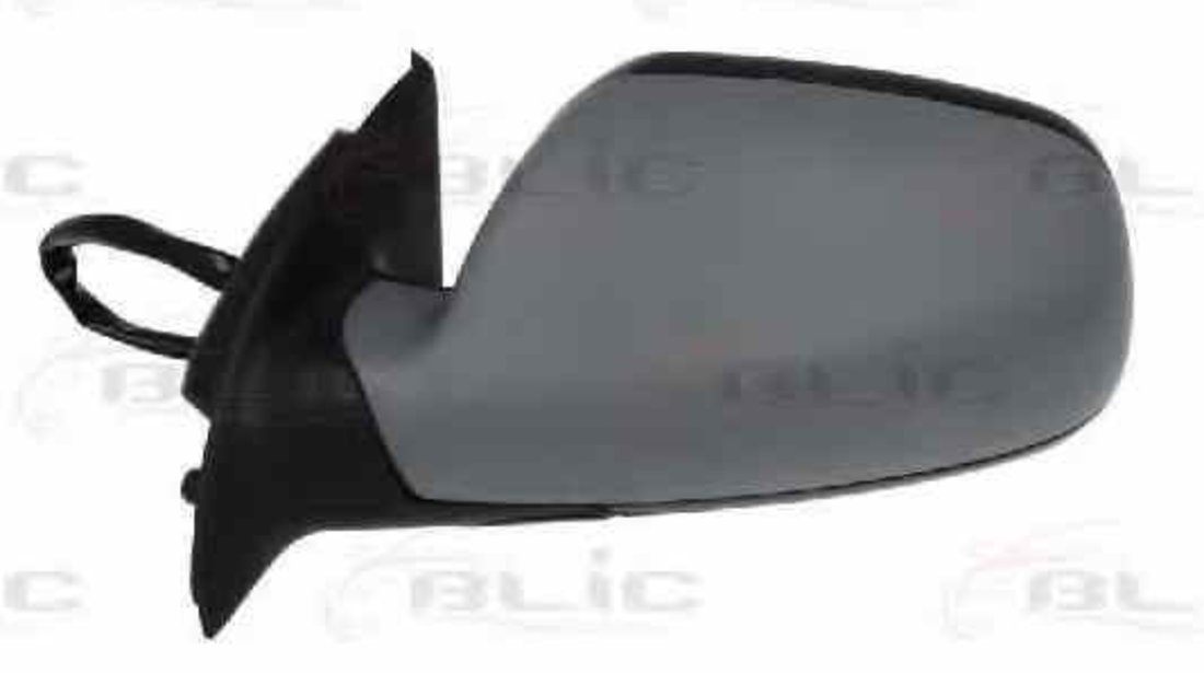 Oglinda exterioara PEUGEOT 307 3A/C BLIC 5402-04-1125397P