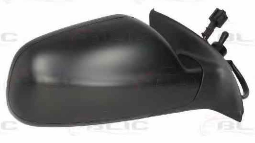 Oglinda exterioara PEUGEOT 307 CC 3B BLIC 5402-04-1138397P