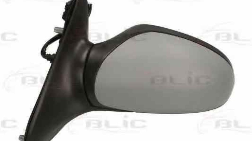 Oglinda exterioara PEUGEOT 406 8B BLIC 5402-04-1125859P