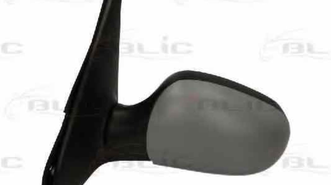 Oglinda exterioara RENAULT CLIO II BB0/1/2 CB0/1/2 BLIC 5402-04-1139112P