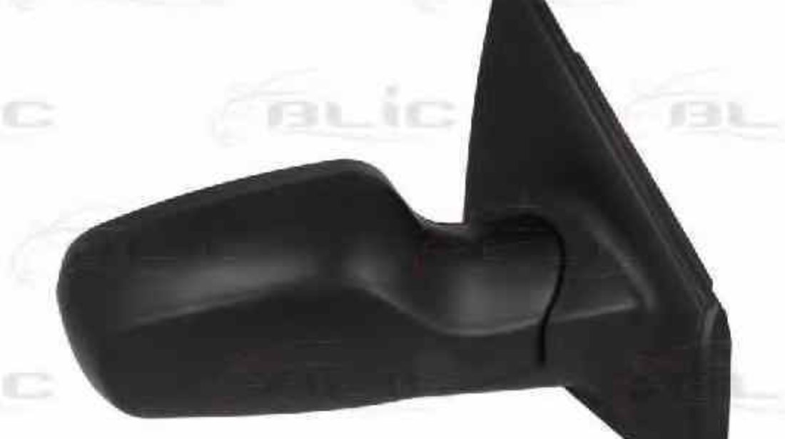 Oglinda exterioara RENAULT CLIO III BR0/1 CR0/1 BLIC 5402-04-1122175P