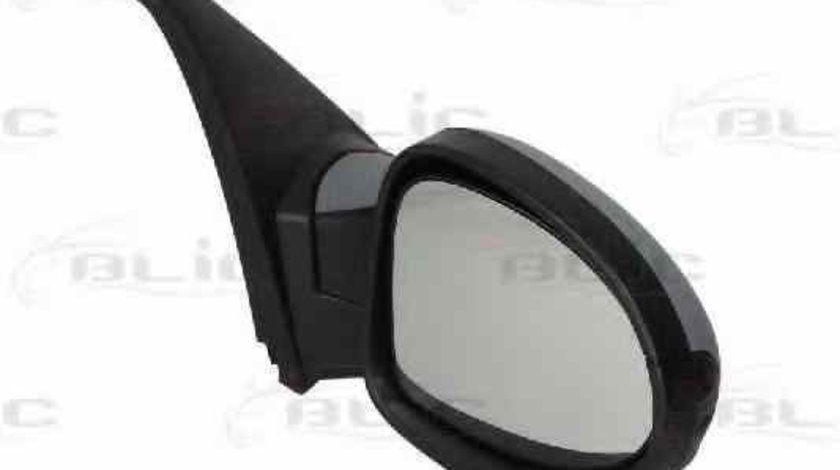 Oglinda exterioara RENAULT CLIO III BR0/1 CR0/1 BLIC 5402-09-049360P