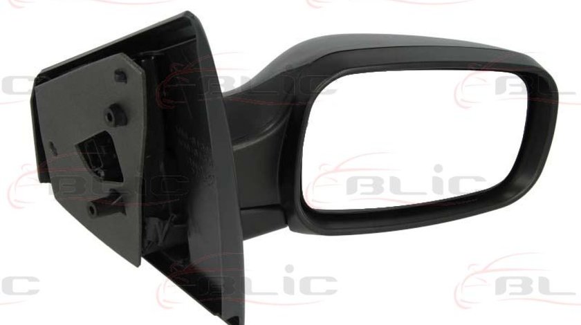 Oglinda exterioara RENAULT CLIO III BR0/1 CR0/1 Producator BLIC 5402-04-1122175P