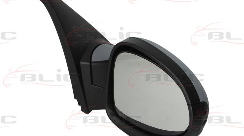 Oglinda exterioara RENAULT CLIO III BR0/1 CR0/1 Producator BLIC 5402-09-049360P