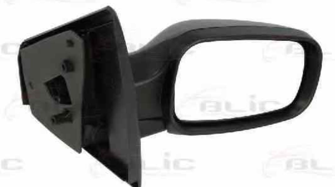 Oglinda exterioara RENAULT CLIO III BR0/1 CR0/1 Producator BLIC 5402-04-1122175P