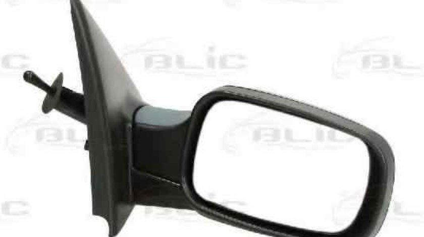 Oglinda exterioara RENAULT CLIO III BR0/1 CR0/1 BLIC 5402-04-1191175P