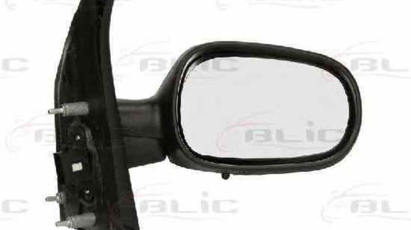 Oglinda exterioara RENAULT MEGANE Scenic JA0/1 BLIC 5402-04-1121236P