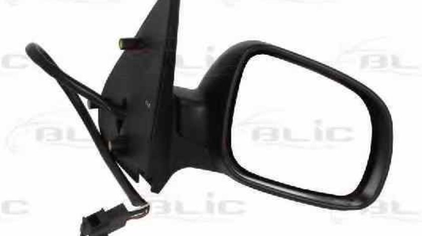 Oglinda exterioara SEAT IBIZA III 6K1 BLIC 5402-04-1131979P