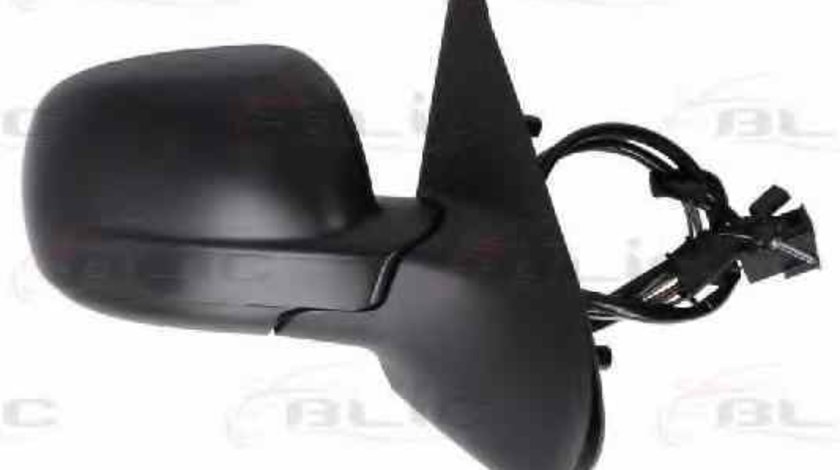 Oglinda exterioara SEAT IBIZA III 6K1 BLIC 5402-04-1132979P