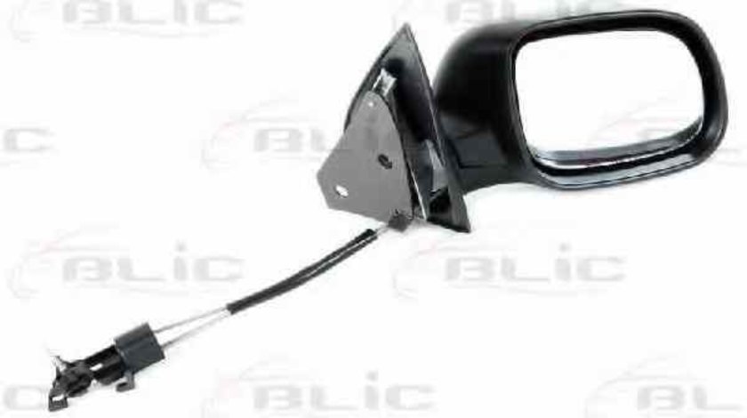 Oglinda exterioara SKODA FABIA Praktik Producator BLIC 5402-04-1115523P