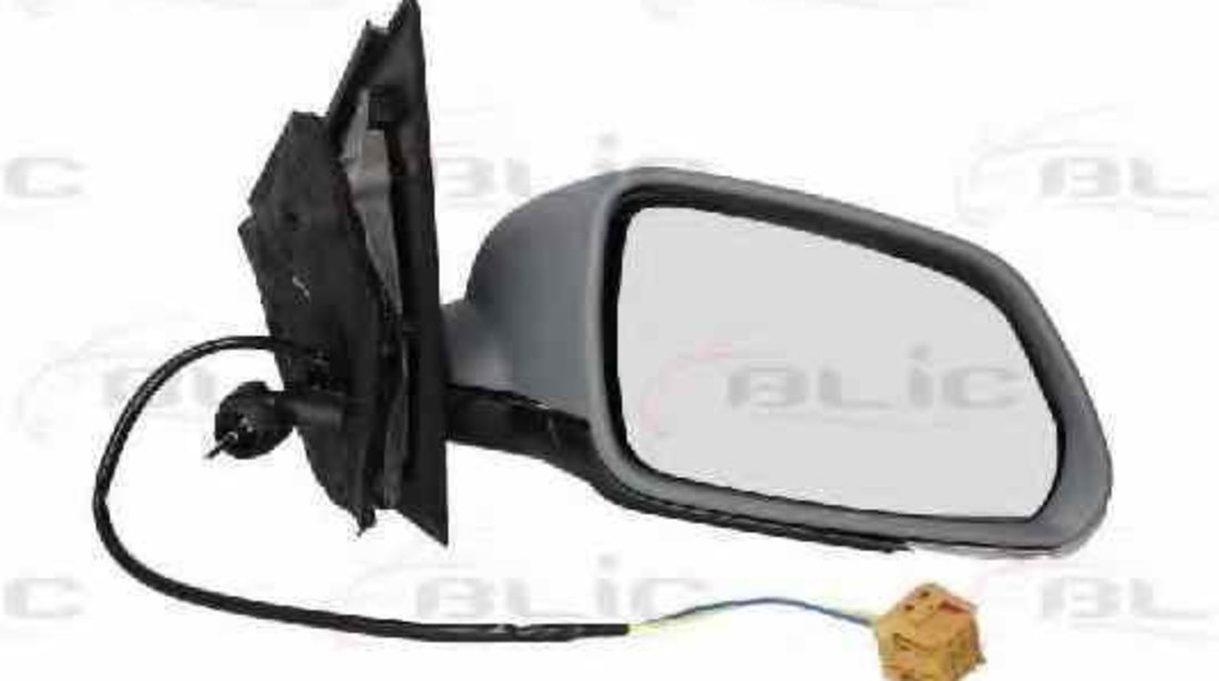 Oglinda exterioara VW POLO 9N BLIC 5402-04-1119111P