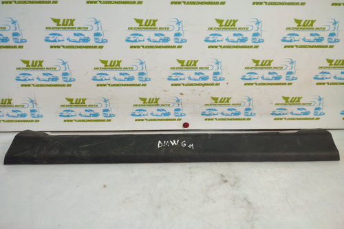 Ornament 7343494 BMW Seria 7 G11/G12 [2015 - 2020]