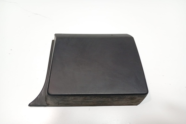 Ornament bandou exterior 798194839R Opel