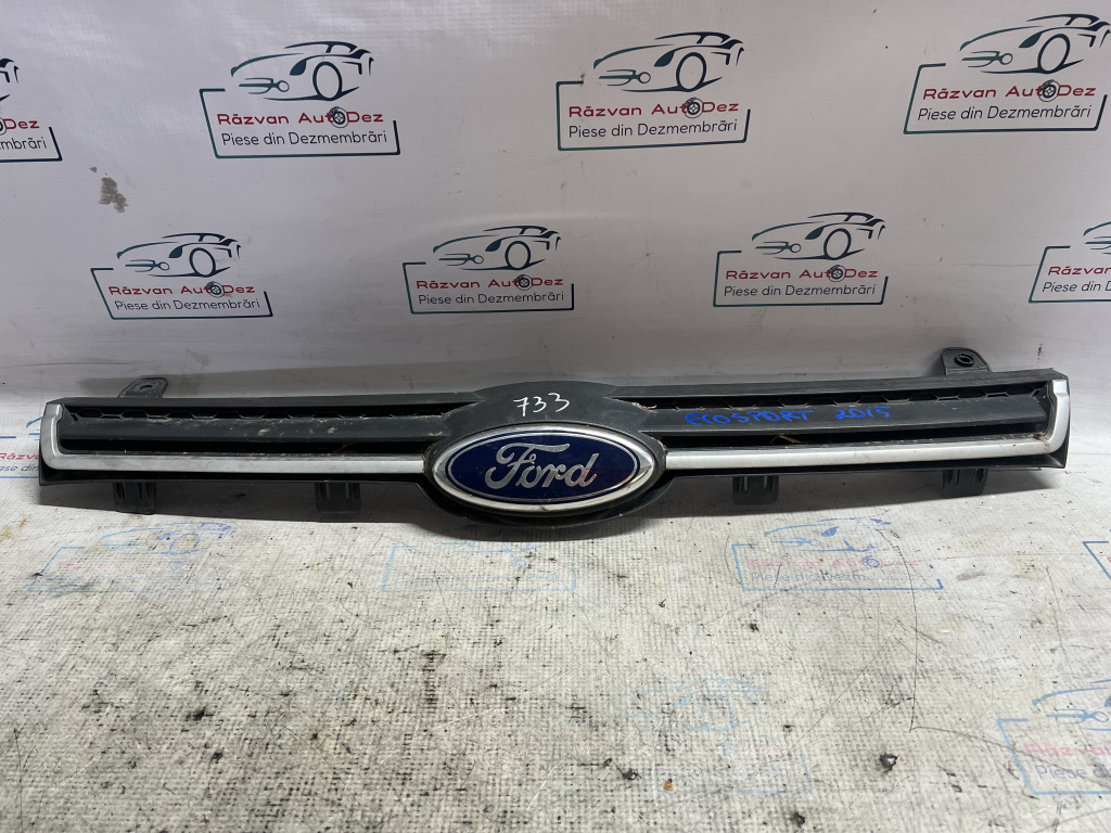 ornament bara fata Ford Ecosport 2015