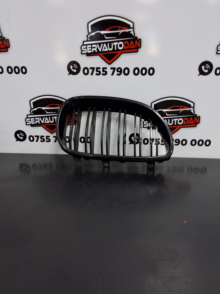 Ornament BMW Seria 5 (2003-2010) [E60] 3.0 Motorina 2006, GRILA FATA