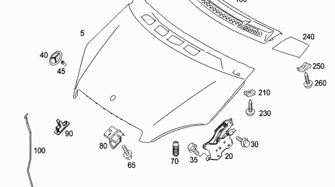 Ornament Capac Grila Sub Parbriz Dreapta Oe Mercedes-Benz A-Class W169 2004-2012 A1698300075