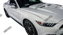 Ornament capota Ford Mustang GT, EcoBoost, V6 2015...