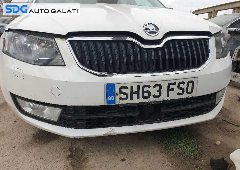 Ornament Grila Inferioara Cu Locas Distronic Skoda Octavia 3 2013 - 2017 [0327]