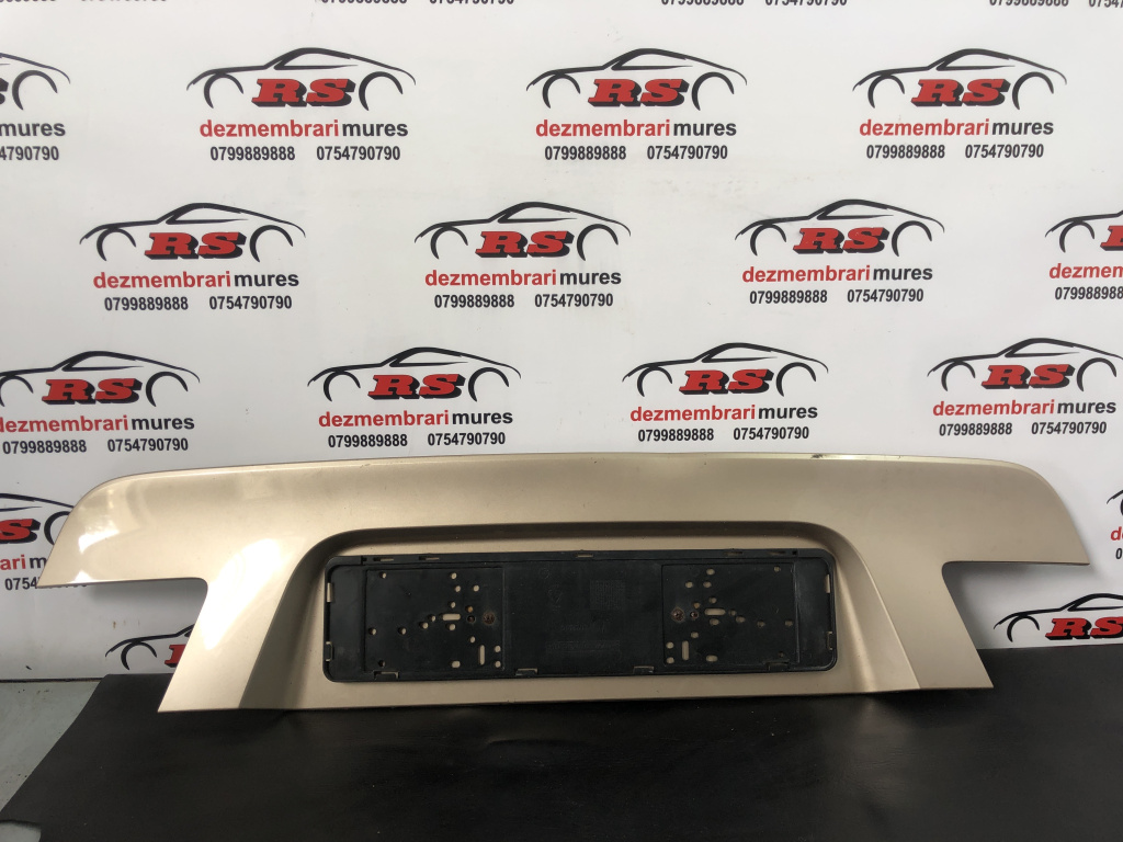 Ornament Haion BMW F01 730d Steptronic, 245cp sedan 2011 (7805152)