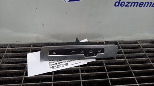 ORNAMENT MANETA SCHIMBATOR AUDI A6 2.0 TDI - (2004 2009)