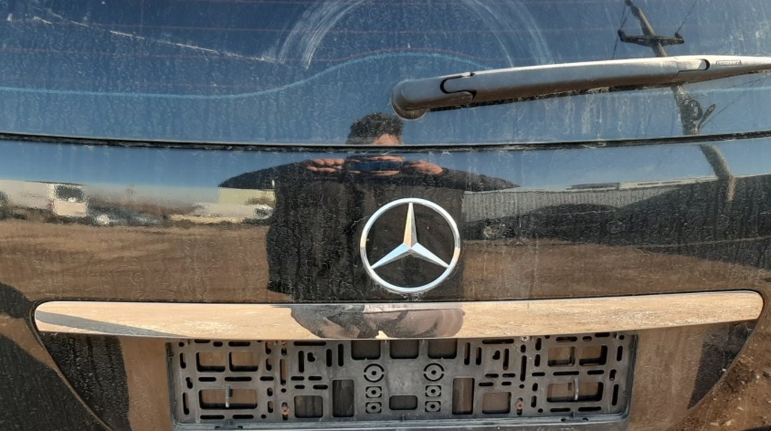 Ornament nichelat haion Mercedes ML420 cdi w164