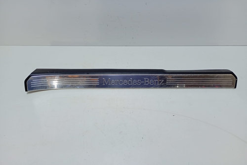 Ornament prag A2216800235 Mercedes-Benz S-Class W221 [2005 - 2009]