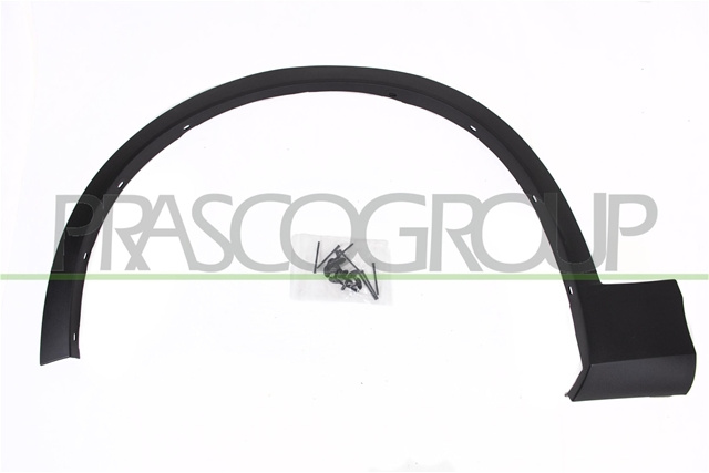 Ornament St Aripa Fata F25 Prasco Bmw BM8041582