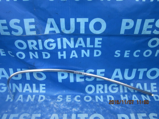 Ornamente portiere BMW E60